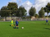 S.K.N.W.K. JO11-1JM - Colijnsplaatse Boys JO11-1 (competitie) seizoen 2022-2023 (najaar - 1e fase)) (39/69)
